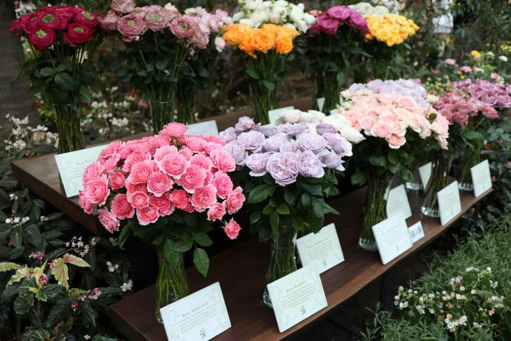 Vibrant assortment of flowers in a market display, perfect for spring decorations.